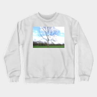 Tree Crewneck Sweatshirt